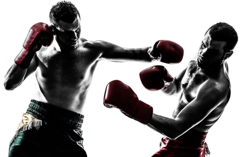 Muay Thai Business Is Growing in Popularity - How to Pursue a Muay Thai
