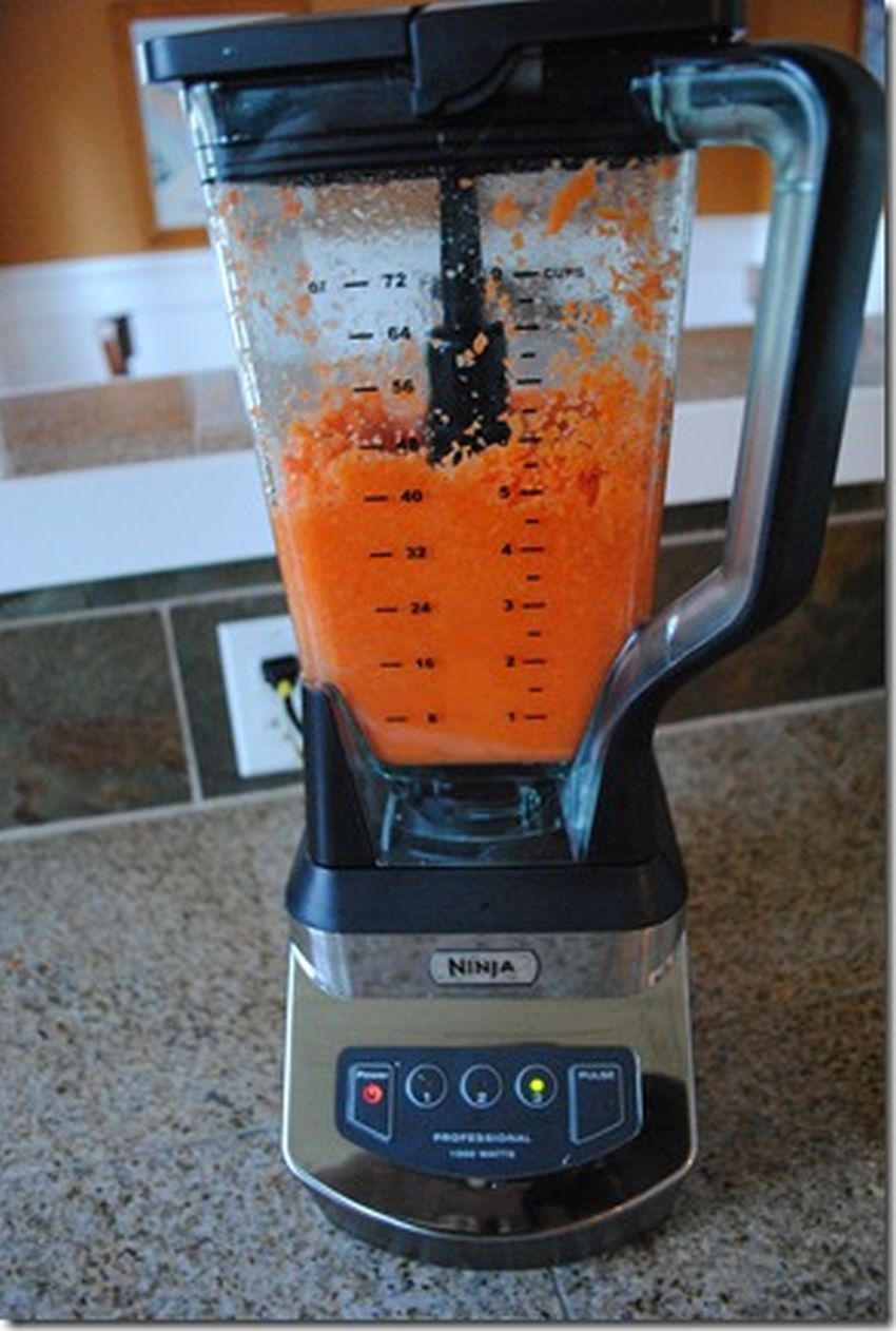 How to Make Carrot Juice in a Blender - How to Choose ...