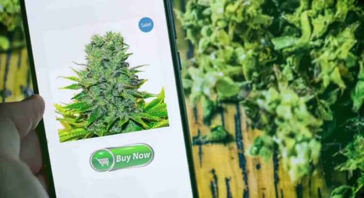 Is It Legal to Buy Weed Online
