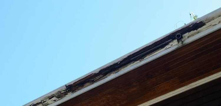 The Hidden Enemy - clogged gutters make Roof Damage