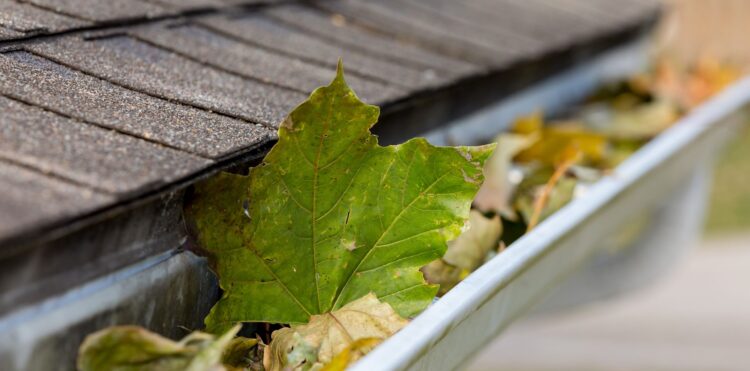 gutter cleaning - Simple Act with Profound Impacts