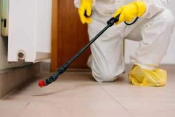 Helpful Pest Control Tips for Aussie Homes