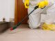 Helpful Pest Control Tips for Aussie Homes