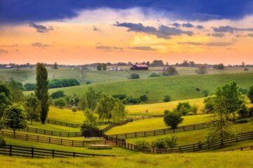 Kentucky Travel Guide: Best Locations and Planning Tips for A Memorable Experience